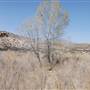 Cibolo Creek Ranch