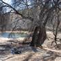 Cibolo Creek Ranch