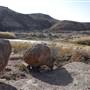 Big Bend Ranch State Park - Hoodoos
