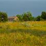 Lambshead Ranch