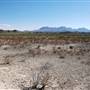 Big Bend National Park  - Fossil Bone Overlook