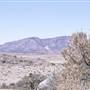 Ranch Road 505