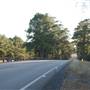 HWY 21 (East of Bastrop)
