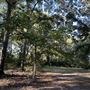 Flournoy Farm