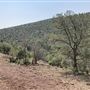 Hess Property