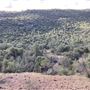 Hess Property