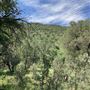 Hess Property