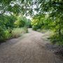 Johnny Broyles Trail