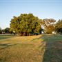 Little Elm Park