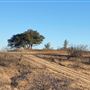 Tipton Ranch