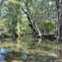 Blue Hole Regional Park