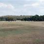 Lockhart State Park