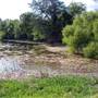 Onion Creek at CR 236