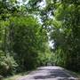 Gloria Road