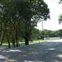 Tripp Road