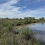 Baytown Nature Center