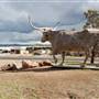 Sul Ross State University
