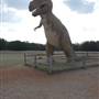 Dinosaur Valley State Park