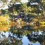 Enchanted Springs Ranch
