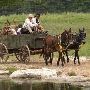Enchanted Springs Ranch