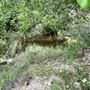 Lost Creek at Wimberley