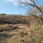 Enchanted Rock State Natural Area