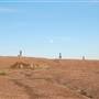 Enchanted Rock State Natural Area