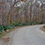 Palmetto State Park