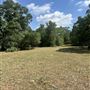 McDonald Cedar Creek Legacy Estate