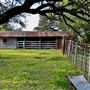 Chick Ranch