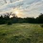 Chick Ranch