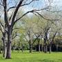 Riverside Park