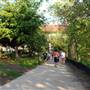 Hike & Bike Trail at Lady Bird Lake