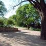 Hike & Bike Trail at Lady Bird Lake