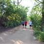 Hike & Bike Trail at Lady Bird Lake