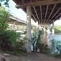 Hike & Bike Trail at Lady Bird Lake