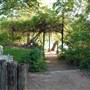 Hike & Bike Trail at Lady Bird Lake