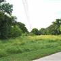 Phil Hardberger Park