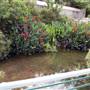 San Antonio River Walk