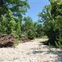 McKinney Falls State Park