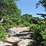 McKinney Falls State Park