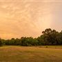 The Oaks of Anahuac