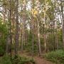 The Oaks of Anahuac