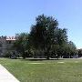 Texas Tech University