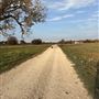 Evans Ranch