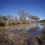 Four Winns Ranch