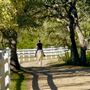Sky Creek Farm