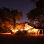 Texas Hill Country Orchard
