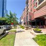 Knox Street