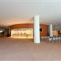 Morton H. Meyerson Symphony Center